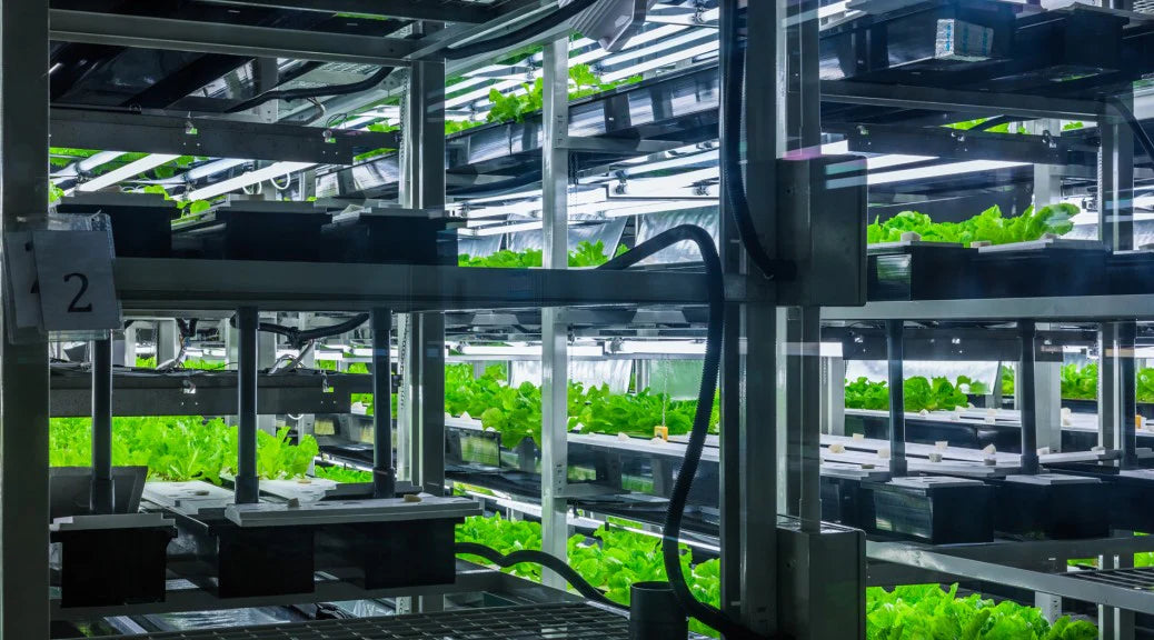 History of Hydroponics