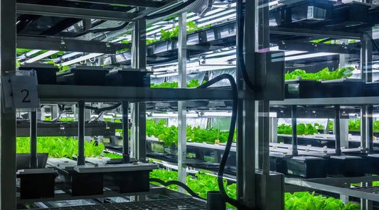History of Hydroponics