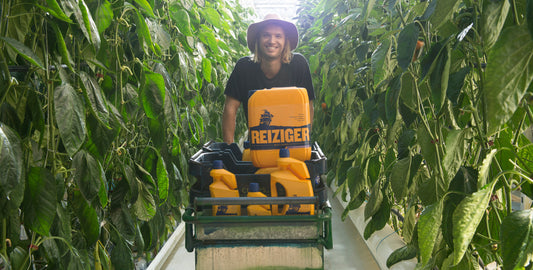 Supercharge Your Grow: Top Tips for Maximising Plant Yields