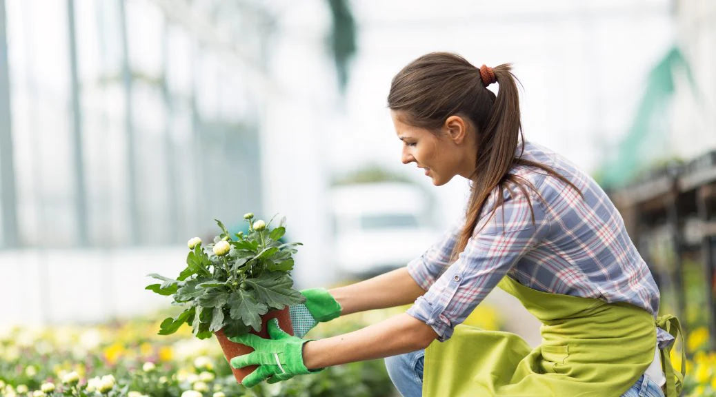 5 Benefits of Hydroponic Gardening