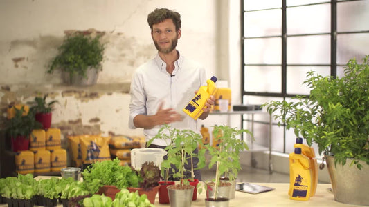 Episode 6 – Master The Craft of Hydroponics