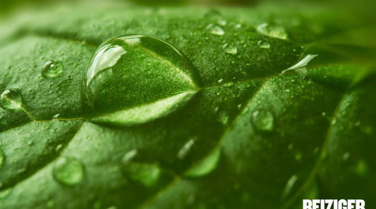 The Importance of Water Quality and Quantity