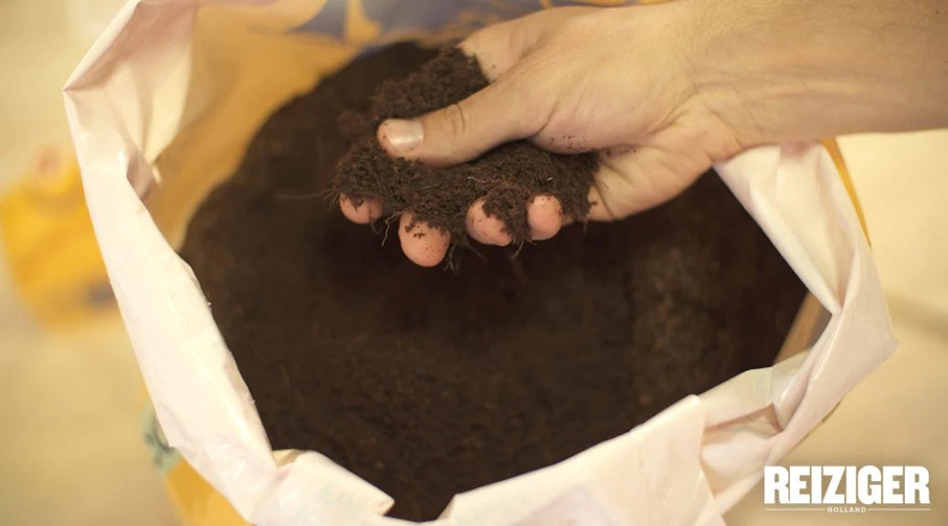 What is a Growing Medium?
